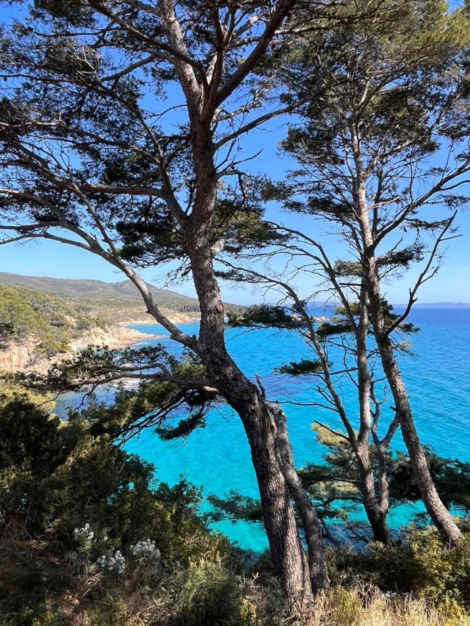 Bed and Breakfast L'Arbousier Le Le Rayol-Canadel-sur-Mer Exterior foto