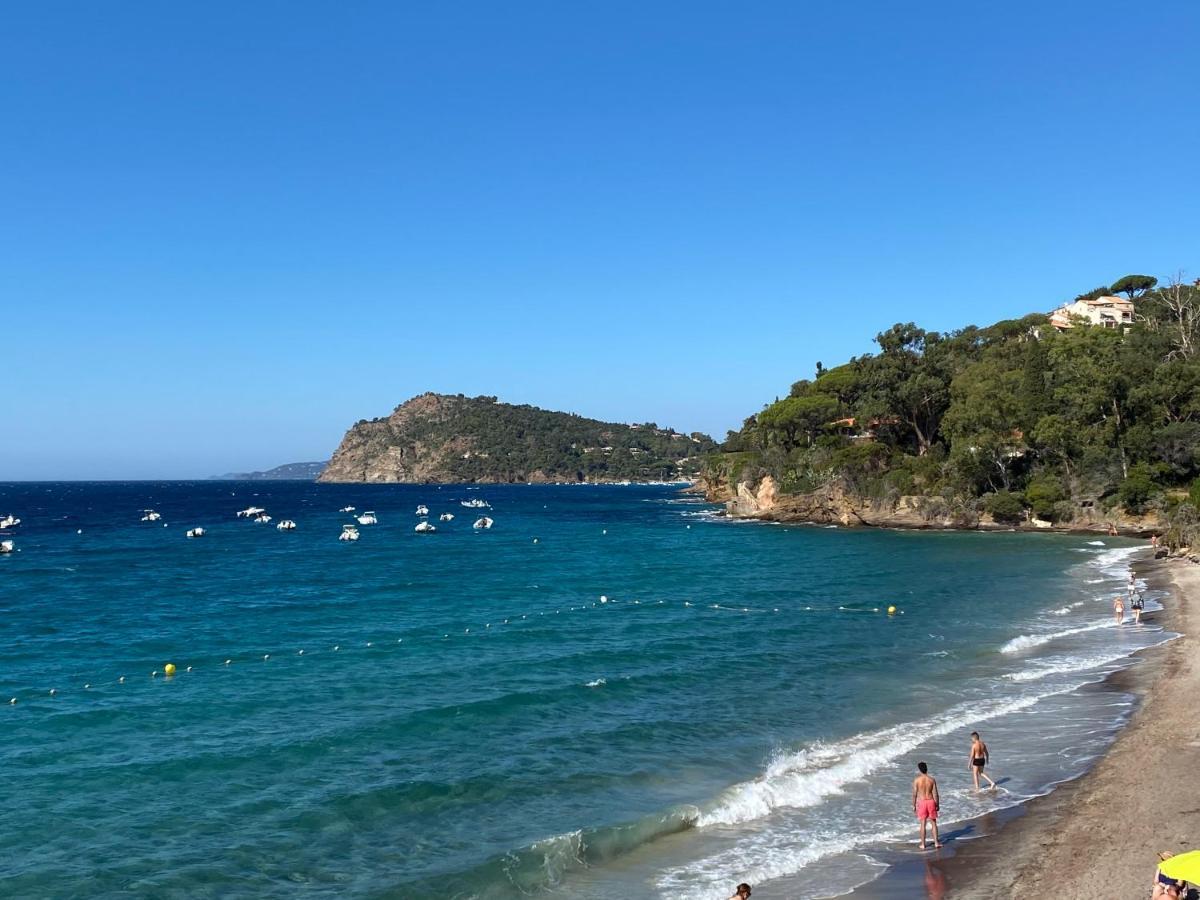 Bed and Breakfast L'Arbousier Le Le Rayol-Canadel-sur-Mer Exterior foto